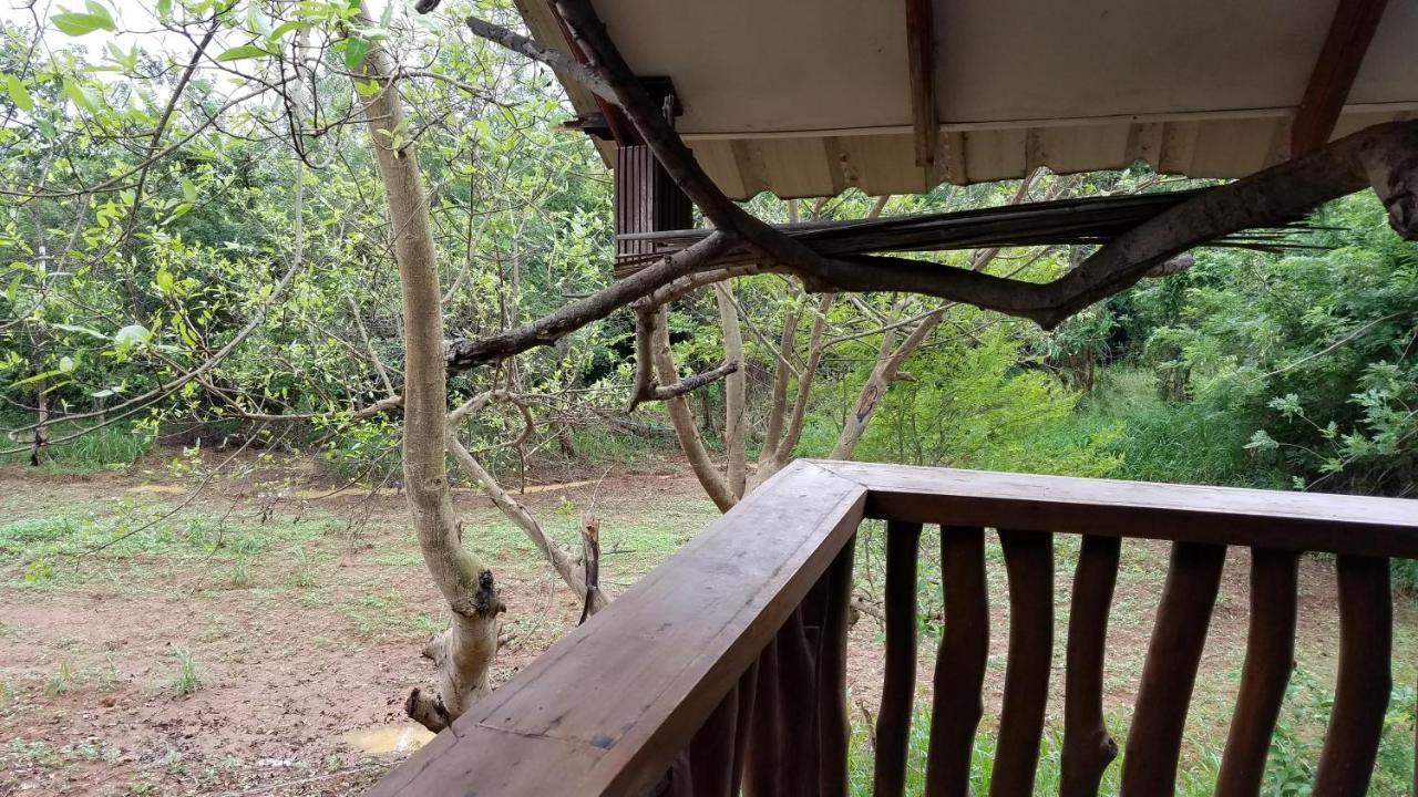Sigiri Holiday Villa Sigiriya Exteriér fotografie